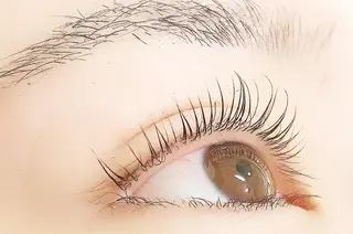 マツエク・マツパ Lanhr所属・【Lanhr】 🕊aya🕊のマツエク・マツパデザイン