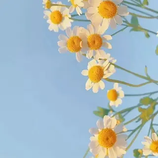 🌐　BIANCA endo 　🌐のマツエク・マツパデザイン