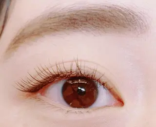 マツエク・マツパ 【ぱっちり職人】 店長 矢吹のマツエク・マツパデザイン