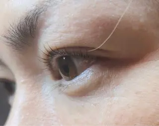 マツエク・マツパ N.BLANC所属・アイブロウ& まつ毛パーマ🫧🪄のマツエク・マツパデザイン