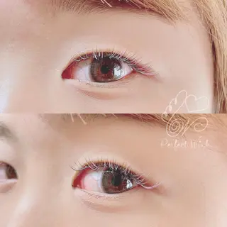 カラー マツエク・マツパ パーフェクトウィンク ちぢいわみのりのマツエク・マツパデザイン