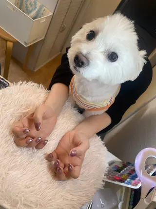 ネイル Chandra nail&tarotのネイルデザイン