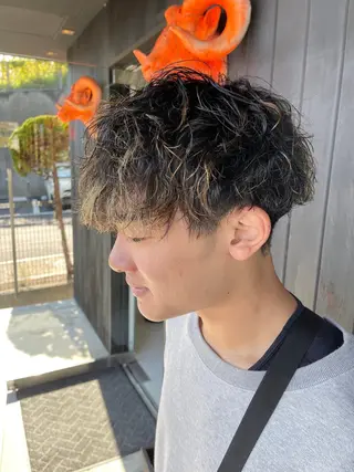パーマ 三好 達也のヘアスタイル