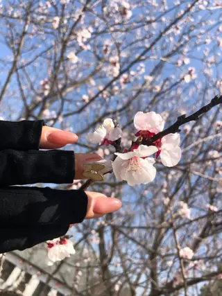 ネイル nanamin nail所属・眉サロン KE. 船橋日大前駅徒歩1分の眉毛・アイブロウイメージ