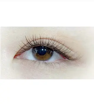 マツエク・マツパ イチハラ🌿銀座🍀 アイブロウリスト🍯の眉毛・アイブロウイメージ