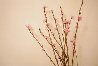 ミディアム カラー パーマ ヘアアレンジ メンズ キッズ ネイル マツエク・マツパ ニキビ跡専門サロン Ａｉｎａのエステ・リラクイメージ