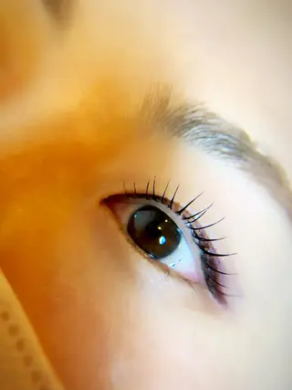 マツエク・マツパ エクステ/眉/LED peTiT堀口のマツエク・マツパデザイン