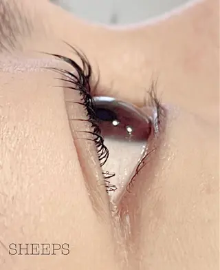 マツエク・マツパ SHEEPS 小島のマツエク・マツパデザイン