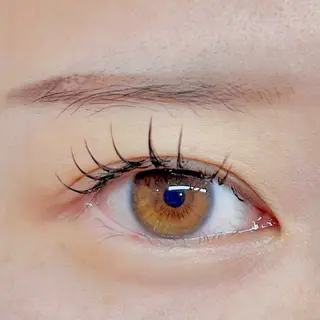 マツエク・マツパ アイブロウ/HBL 🦄MEMEの眉毛・アイブロウイメージ