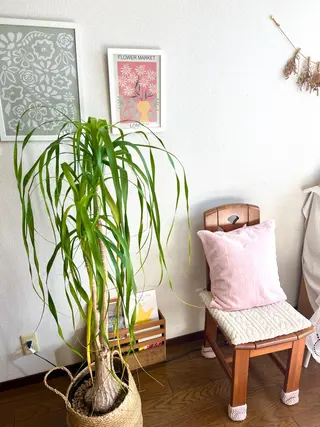 Brasilia Emi's roomのエステ・リラクイメージ