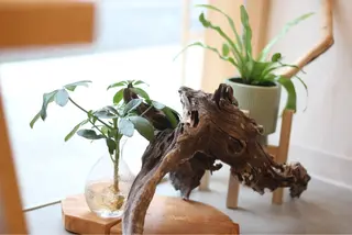 てらの 鍼灸院・整体院のエステ・リラクイメージ