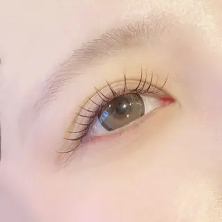 マツエク・マツパ gioia池袋店所属・gioia 根津のマツエク・マツパデザイン