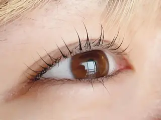 マツエク・マツパ ダリアビューティー所属・LEDエクステ🫧 ダリアビューティーの眉毛・アイブロウイメージ