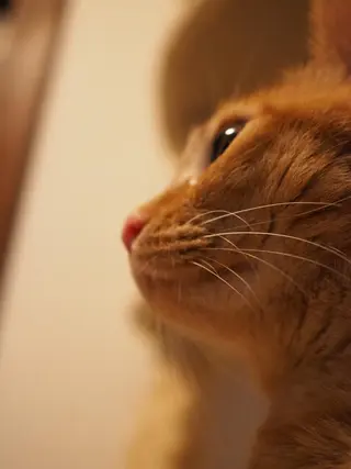 kiki nail 二子玉川のネイルデザイン