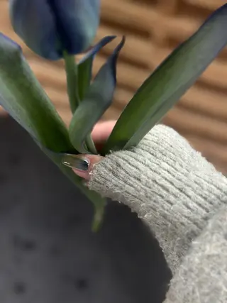 ネイル m o m o / 高岡ネイルのネイルデザイン