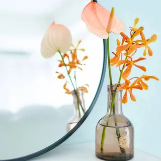 マツエク・マツパ Amy エイミーのマツエク・マツパデザイン