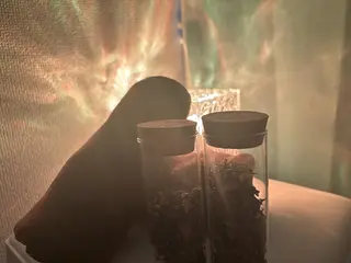 よもぎ天国所属・よもぎ 天国のエステ・リラクイメージ