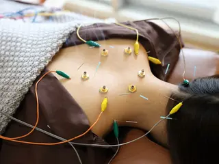 鍼灸サロンHariBear所属・作田 華朋のエステ・リラクイメージ