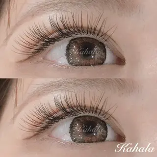 マツエク・マツパ Fujimoto 🦭⸝⋆꙳のマツエク・マツパデザイン