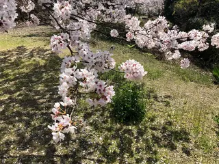 ロング Hair Communication Puzzle所属・雪上 章のヘアスタイル