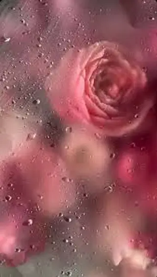 🦋 Natsumiのマツエク・マツパデザイン