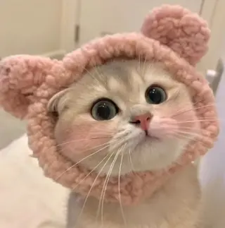 マツエク・マツパ 横浜cotta店所属・kaho ⟡ 横浜のマツエク・マツパデザイン