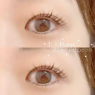 マツエク・マツパ FOXY LASH Miyamotoのマツエク・マツパデザイン