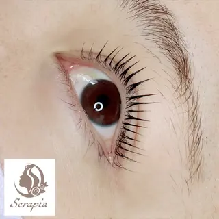 マツエク・マツパ Serapia 【セラピア】のマツエク・マツパデザイン