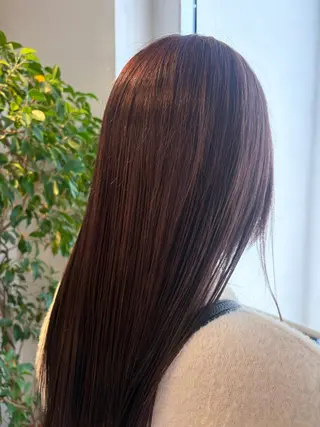 ロング はしもとひより/ 艶カラー/ストレートのヘアスタイル