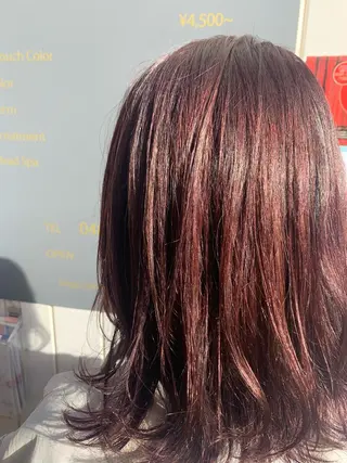 ミディアム 井上 舞のヘアスタイル