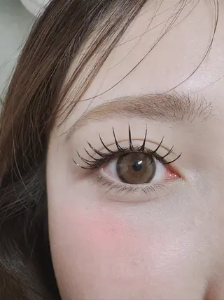 マツエク・マツパ plume eyelashのマツエク・マツパデザイン