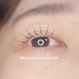 マツエク・マツパ 🦋MaaZlash 南流山FUKA🤍のマツエク・マツパデザイン