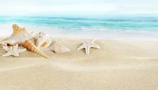 マツエク・マツパ THE SALON ariaのマツエク・マツパデザイン