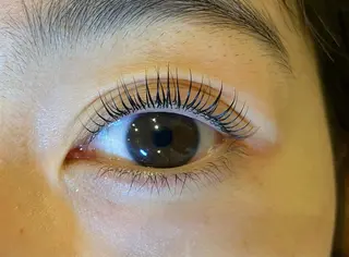 マツエク・マツパ Daisy lash 京橋店堀井のマツエク・マツパデザイン