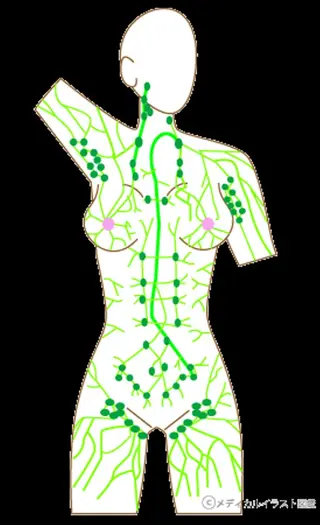 田川 武史のエステ・リラクイメージ