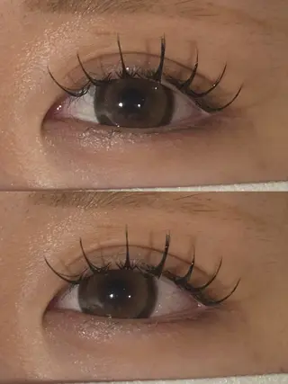 マツエク・マツパ cocoro💗 ﾏﾂｴｸ/Ivyのマツエク・マツパデザイン