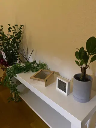 どいしほ@久屋大通 揉みほぐし・オイルのエステ・リラクイメージ