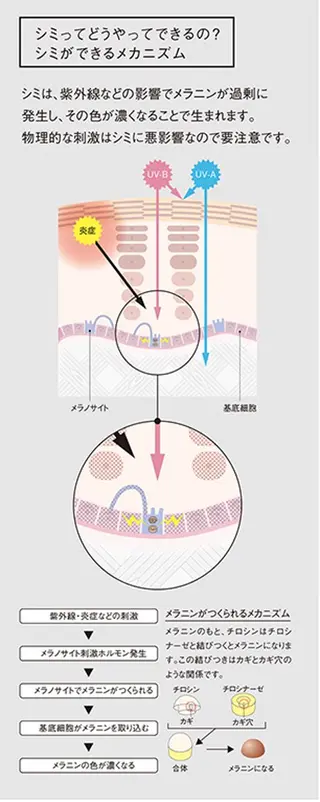 POLA THE BEAUTY 松原店所属・POLA松原店 岡本のエステ・リラクイメージ