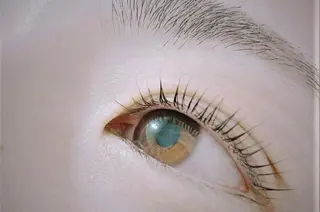 マツエク・マツパ 東陽町 ミィアのマツエク・マツパデザイン