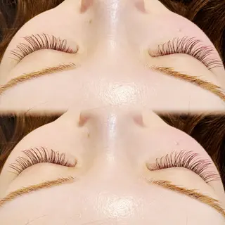 マツエク・マツパ plume eyelashのマツエク・マツパデザイン