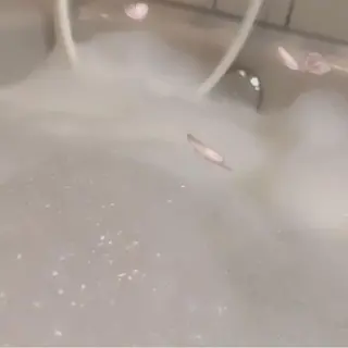 ∴Sanae. ∴ トータルビューティーのマツエク・マツパデザイン