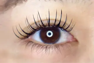 マツエク・マツパ アンテインチル所属・アンテインチル 三浦のマツエク・マツパデザイン