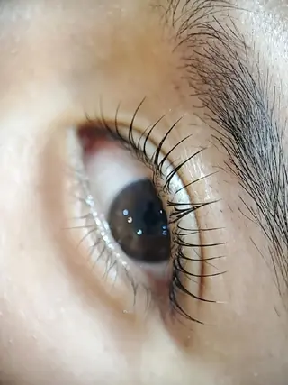 マツエク・マツパ VIVIE 水野のエステ・リラクイメージ