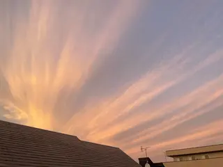 ネイル Chong Sarangのネイルデザイン