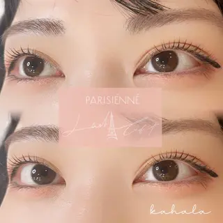 マツエク・マツパ Fujimoto 🦭⸝⋆꙳のマツエク・マツパデザイン