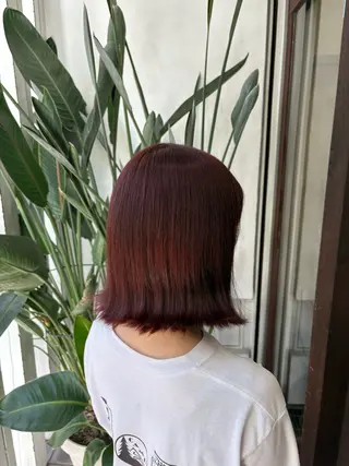 ミディアム カラー 髪質改善🌿‬/艶感 /髙木 優人のヘアスタイル