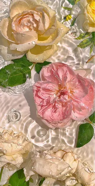 ショート ‎‪🩰 艶髪美髪 shiori🫧のヘアスタイル