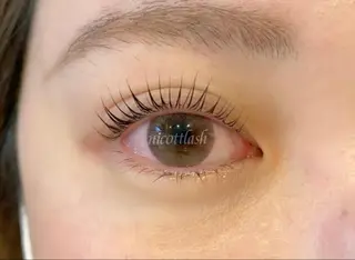 マツエク・マツパ デイジーラッシュ 天王寺　南のマツエク・マツパデザイン