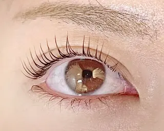 マツエク・マツパ ブレラ所属・Rumi 【ブレラ】のマツエク・マツパデザイン