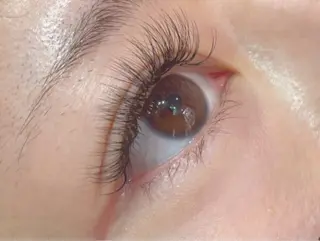 マツエク・マツパ アトリエ ネッコのヘアスタイル